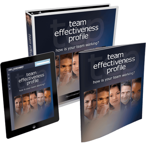 Team Effectiveness Profile | HRDQ