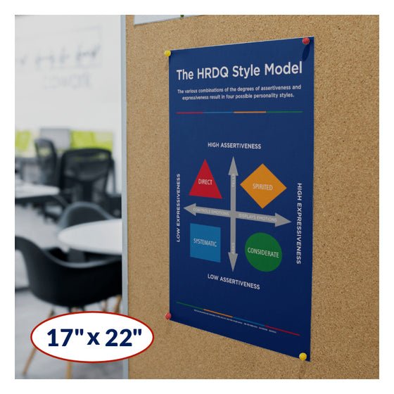 What's My Coaching Style - HRDQ Style Model Poster
