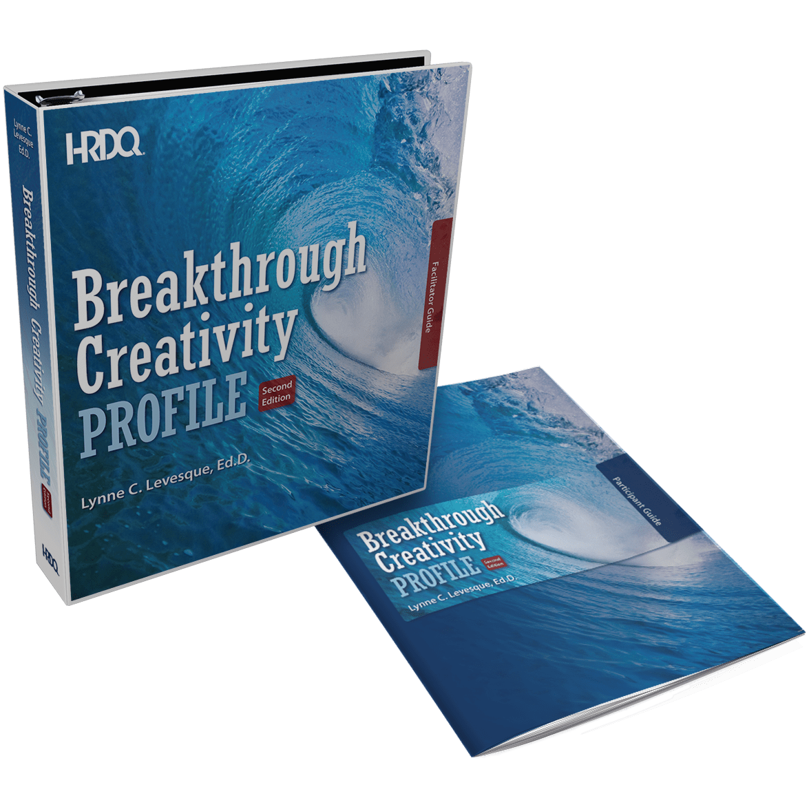 Breakthrough Creativity Profile - HRDQ