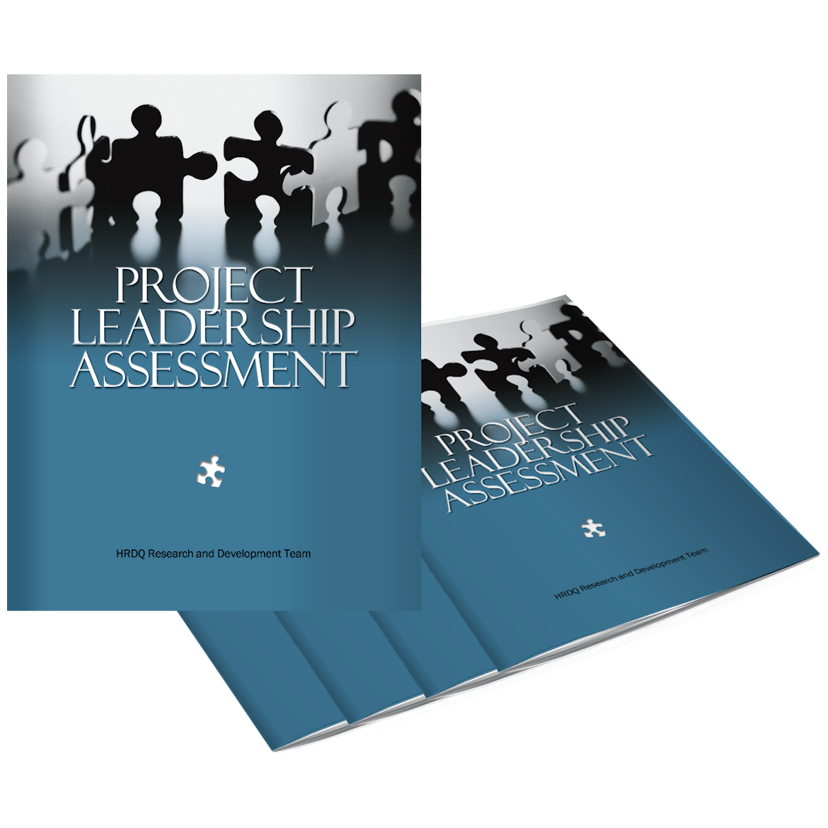 Project Leadership Assessment - HRDQ