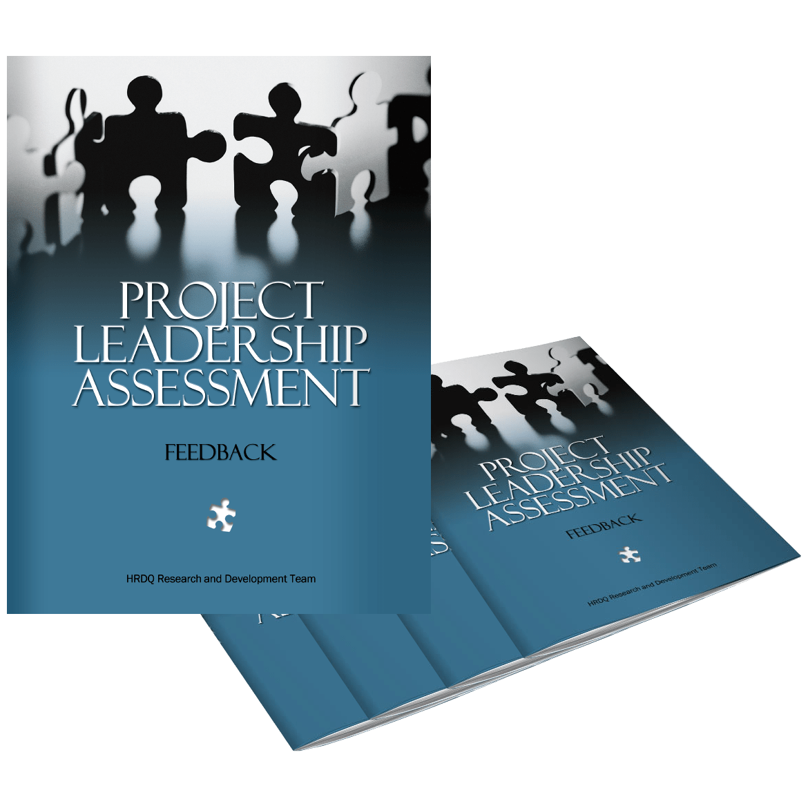 Project Leadership Assessment - HRDQ