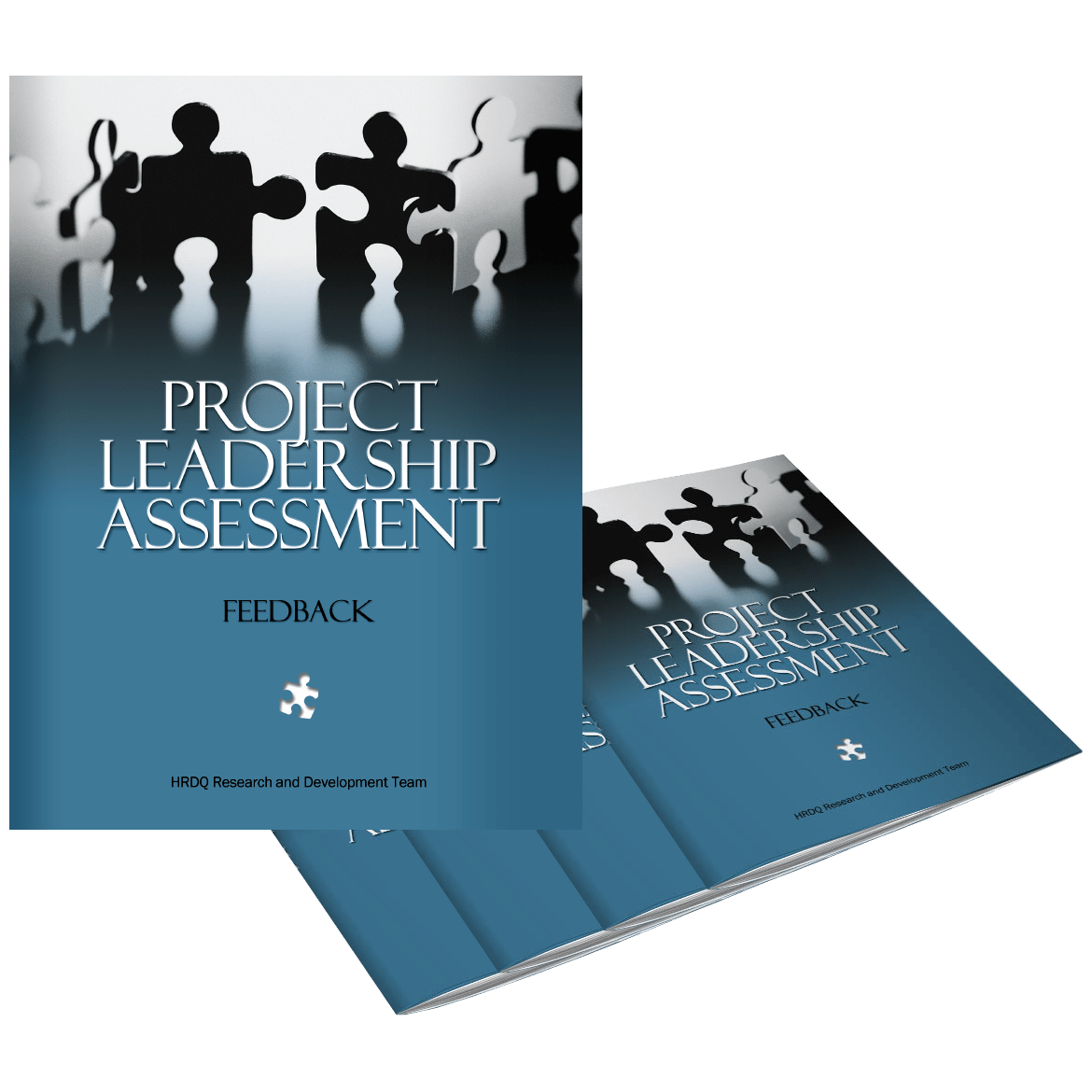 Project Leadership Assessment