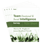 Team Emotional and Social Intelligence (TESI) - HRDQ